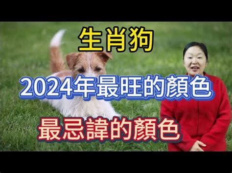 狗 幸運色|西元2024屬狗 生肖流年運勢!民國113年肖狗生人奉安。